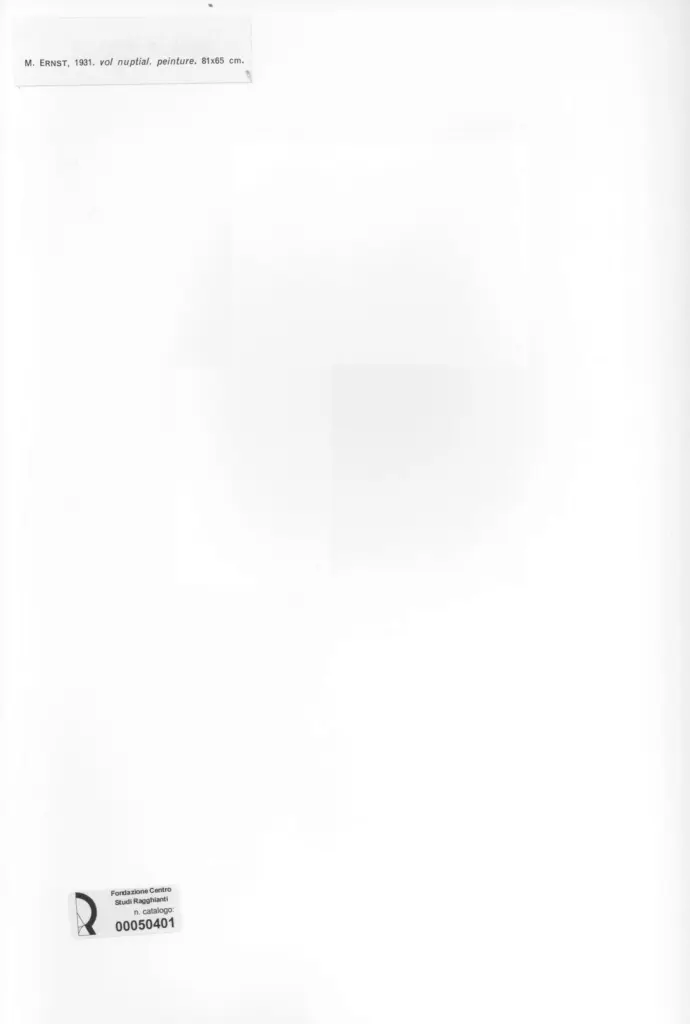 Anonimo, Anonimo , retro