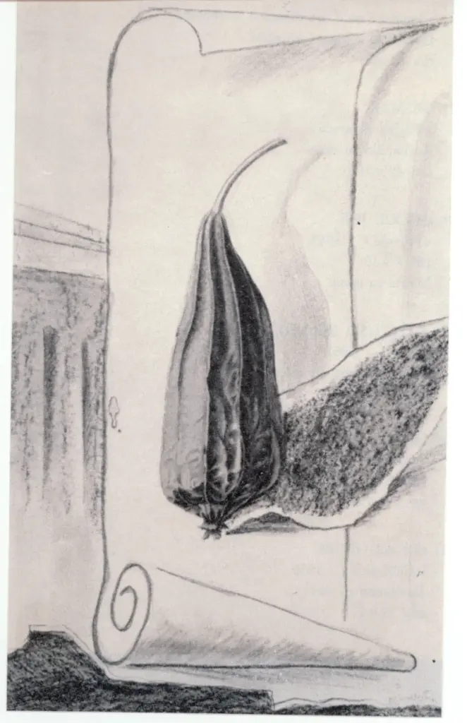 Anonimo, Anonimo , fronte