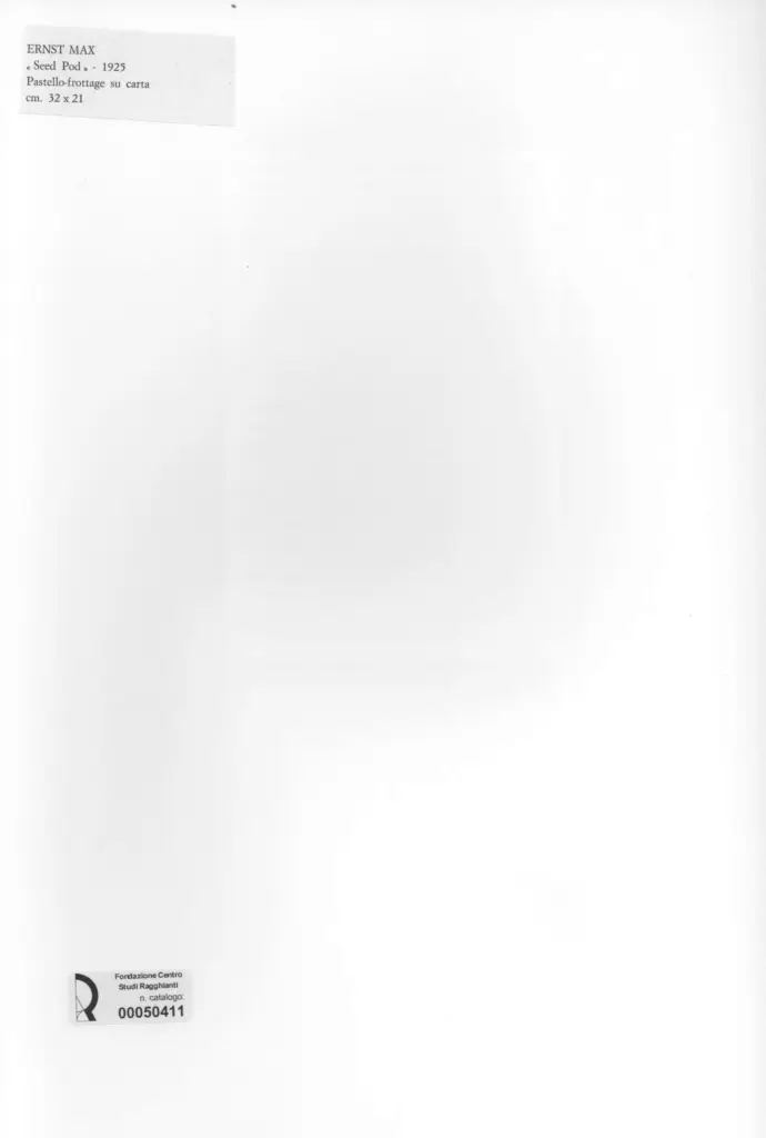 Anonimo, Anonimo , retro