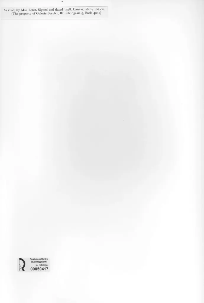 Anonimo, Anonimo , retro