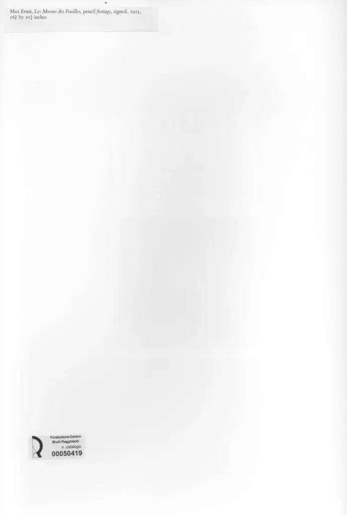 Anonimo, Anonimo , retro