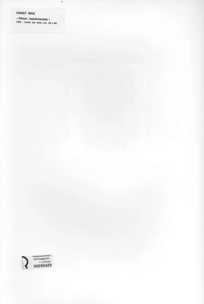 Anonimo, Anonimo , retro