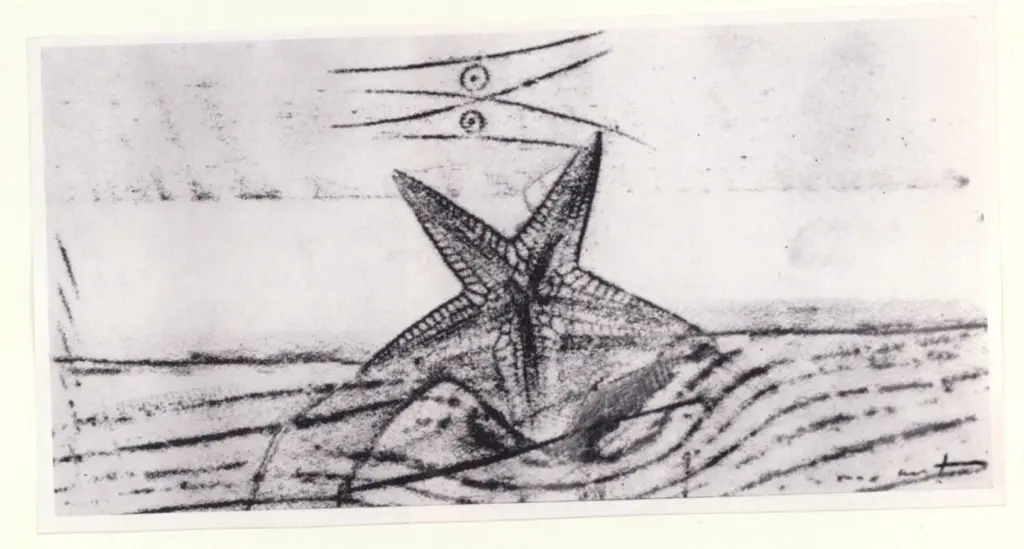 Anonimo, Anonimo , fronte