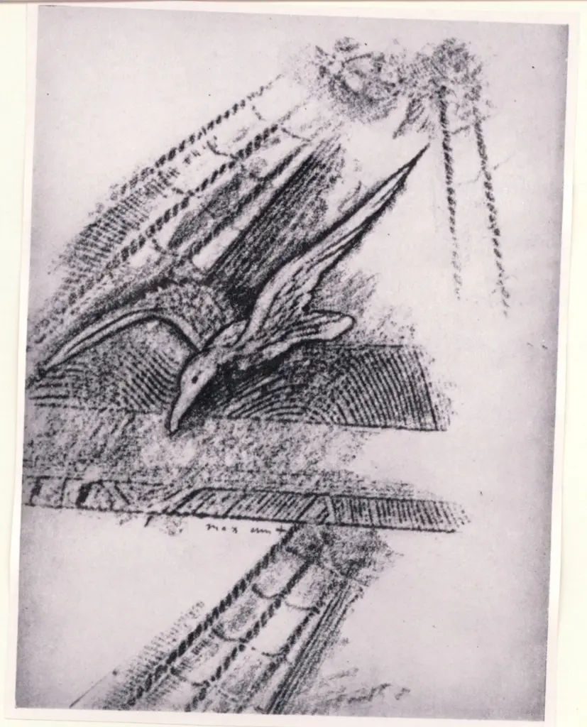 Anonimo, Anonimo , fronte