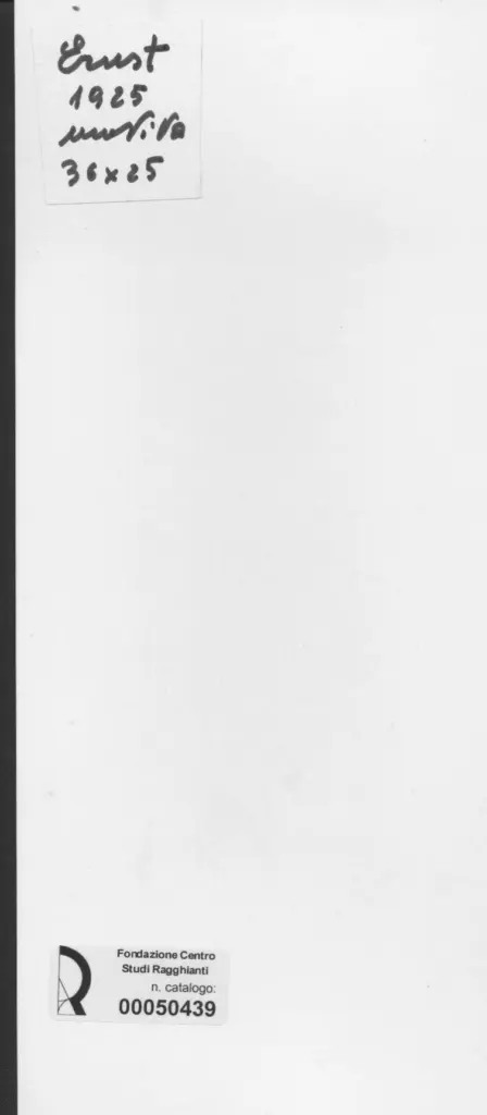 Anonimo, Anonimo , retro