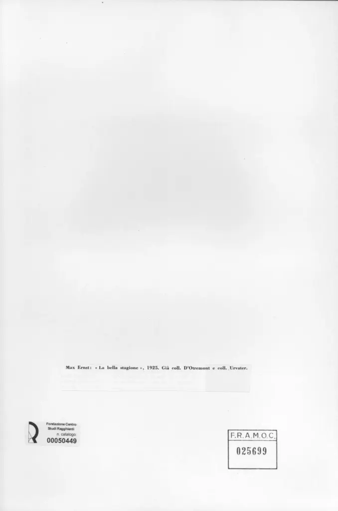 Anonimo, Anonimo , retro