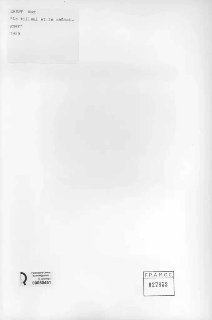 Anonimo, Anonimo , retro