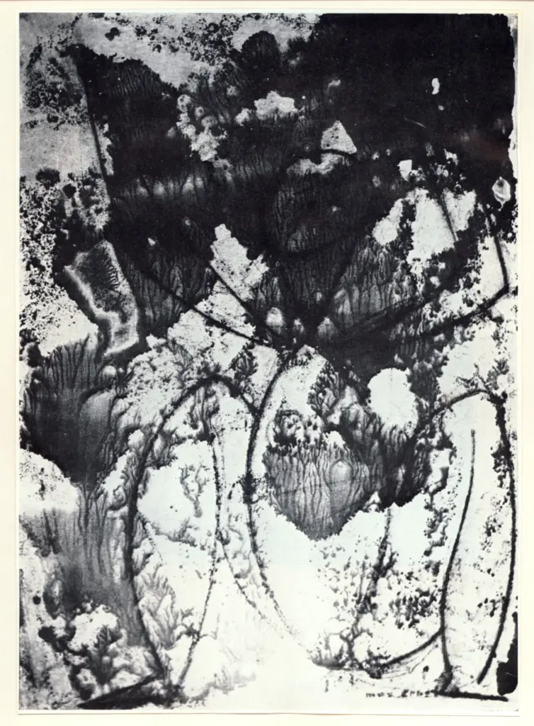 Anonimo , Ernst, Max - sec. XX - La femme oiseau , fronte