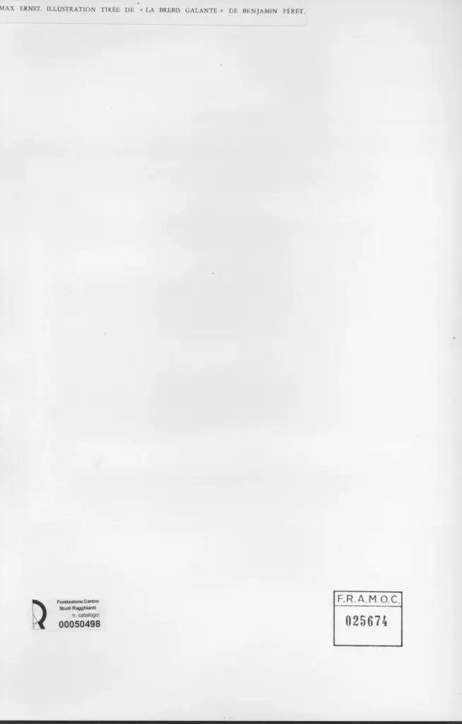 Anonimo, Anonimo , retro