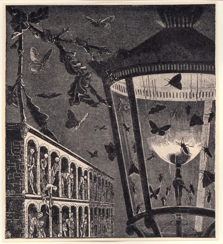 Anonimo, Anonimo , fronte