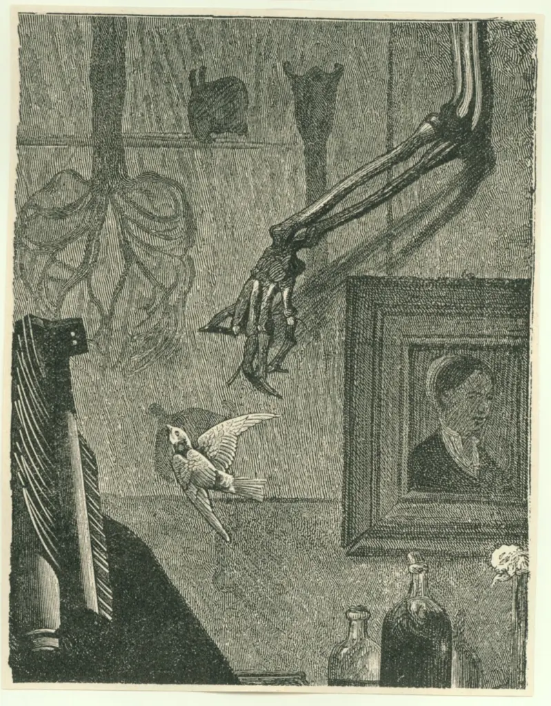 Anonimo, Anonimo , fronte