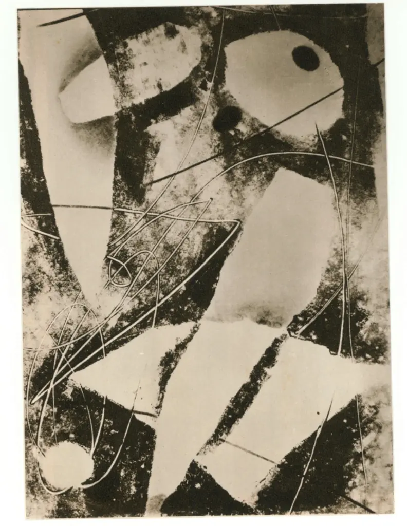 Fath-Winter , Schwarz-rot-harmonie