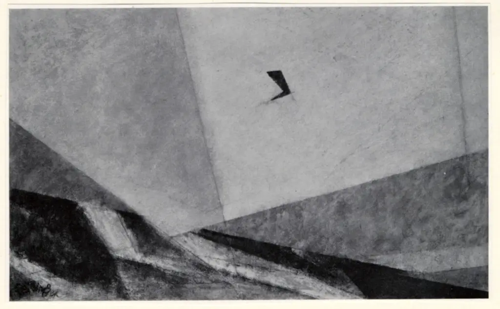 Anonimo , Feininger, Lyonel , fronte