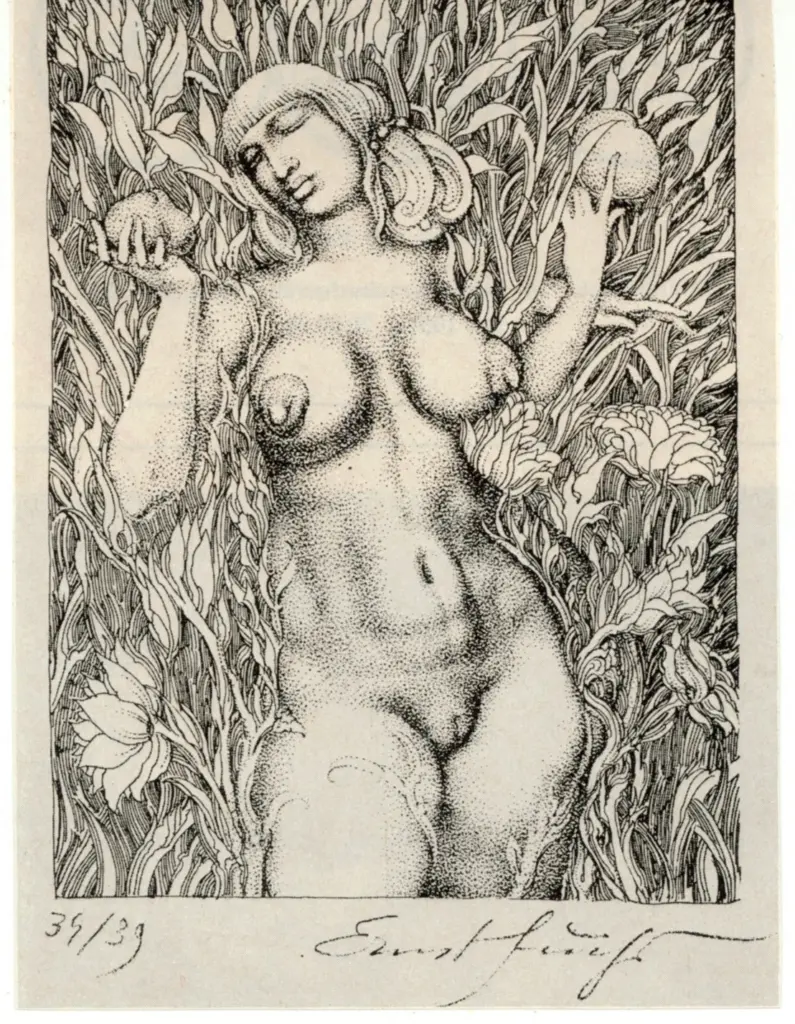 Anonimo , Fuchs, Ernst sec. XX , fronte