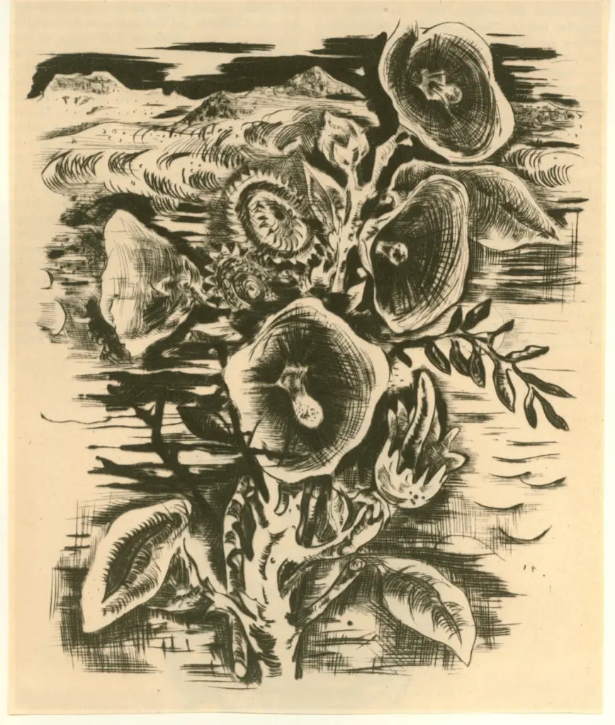 Anonimo , Geiger, Willi , fronte