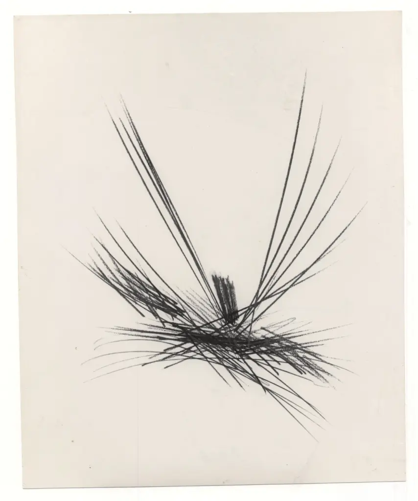 Anonimo, Anonimo , fronte