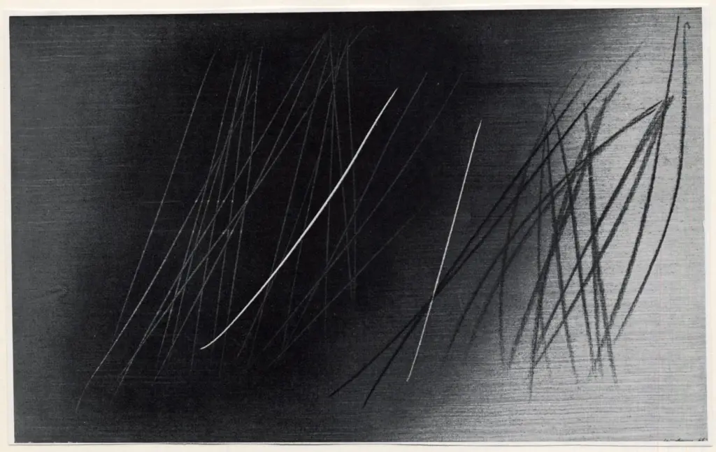 Anonimo, Anonimo , fronte