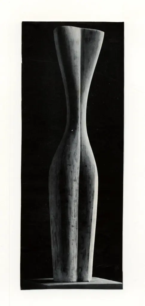 Anonimo, Anonimo , fronte