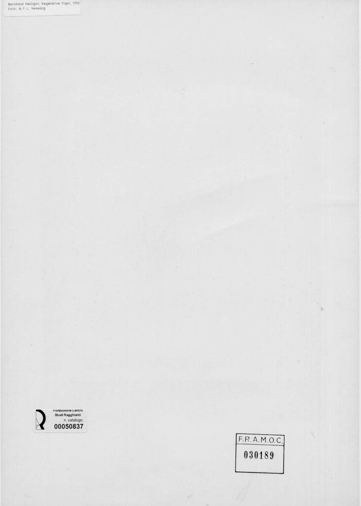 A.F.I. Agenzia Fotografica Industriale , retro