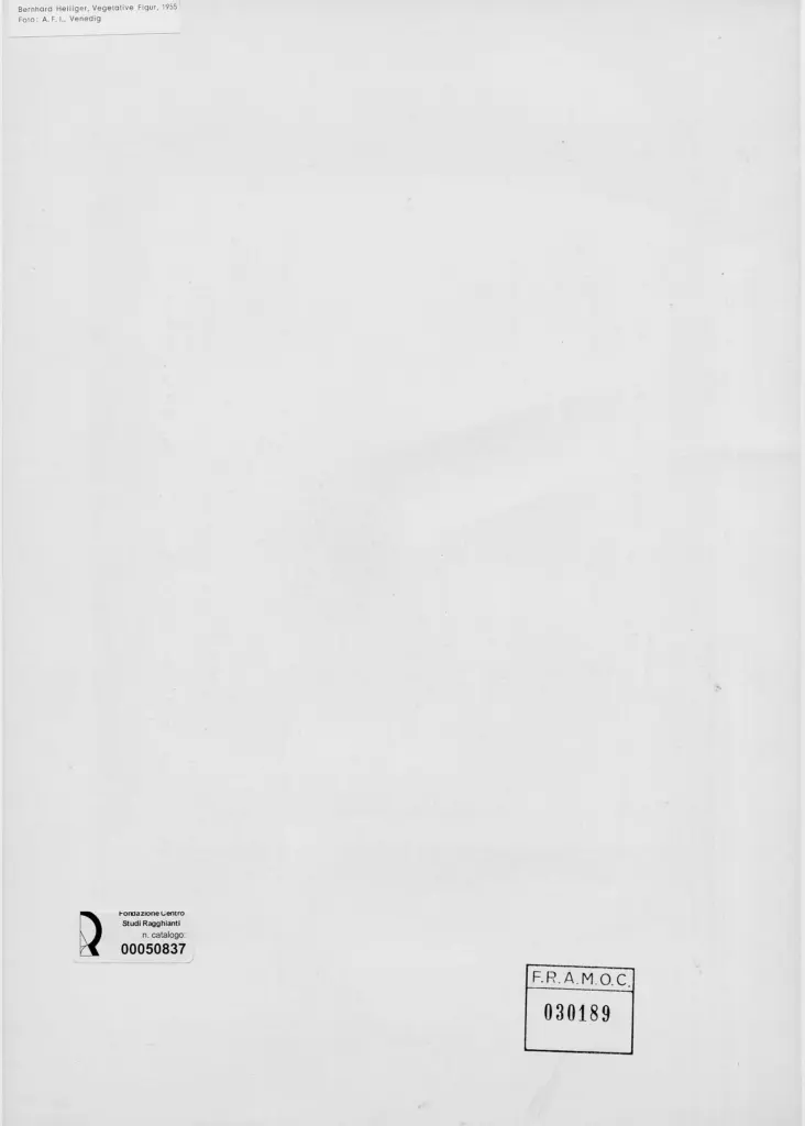 A.F.I. Agenzia Fotografica Industriale , retro