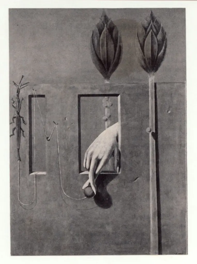 Anonimo, Anonimo , fronte