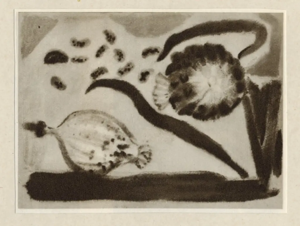 Anonimo, Anonimo , fronte