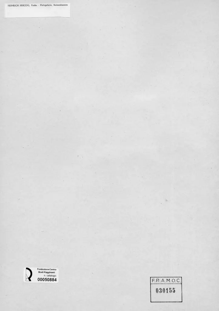 Anonimo , Herzog, Heinrich , retro