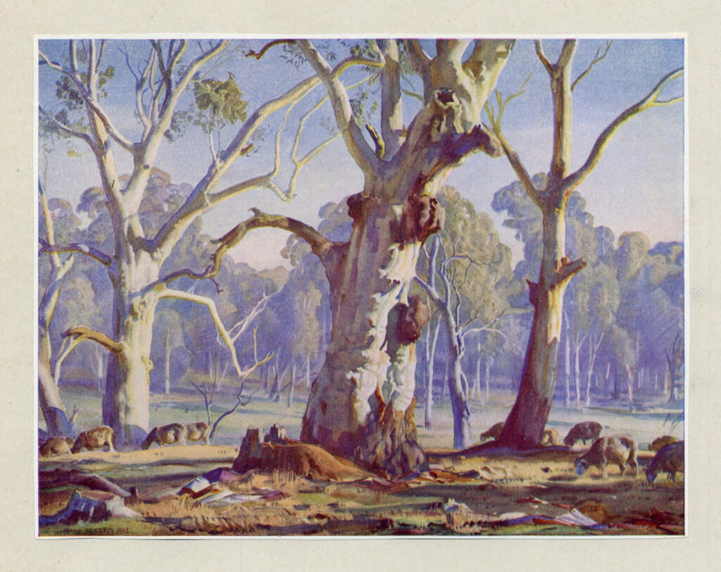 Heysen, Hans , La luce del mattino -
