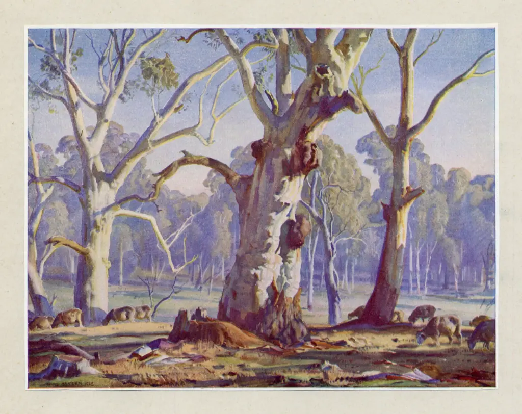 Heysen, Hans , La luce del mattino