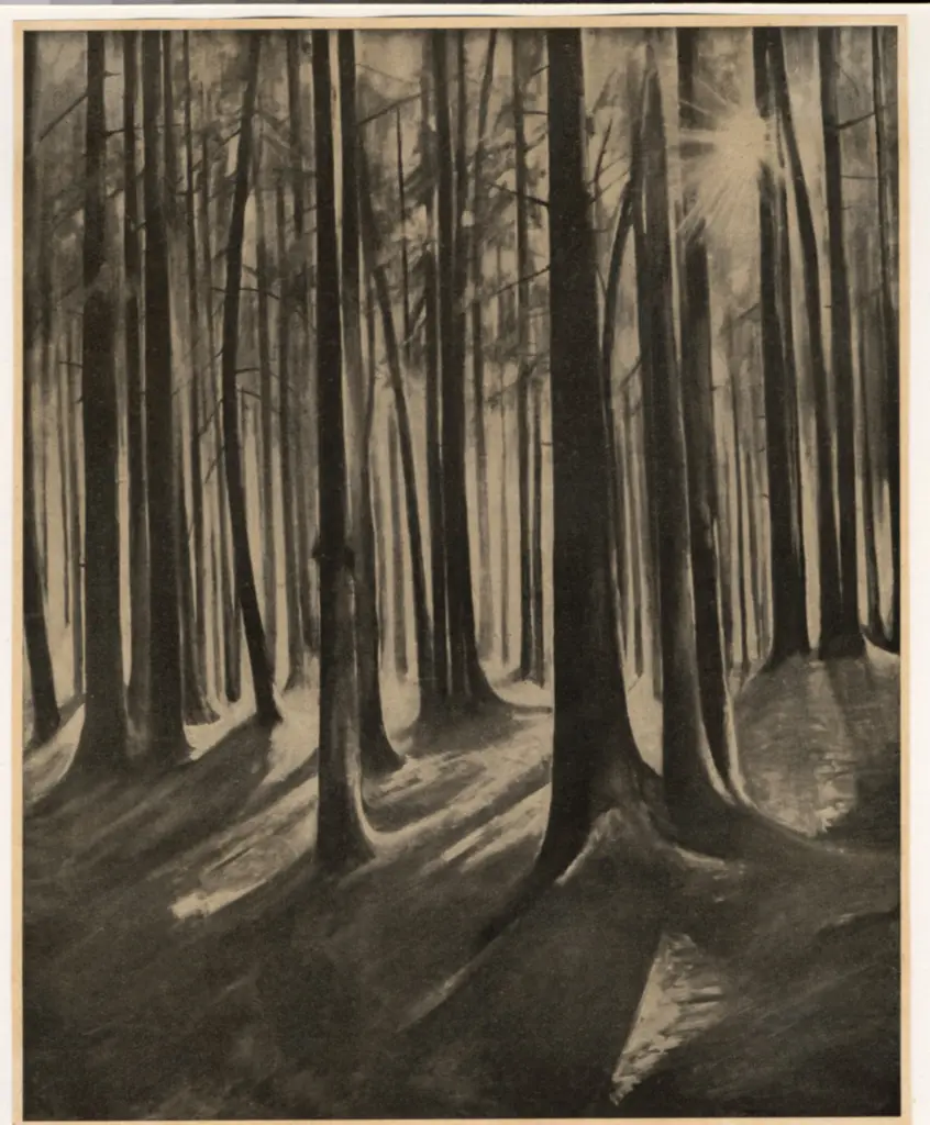 Anonimo , Jaeckel, Willy , fronte