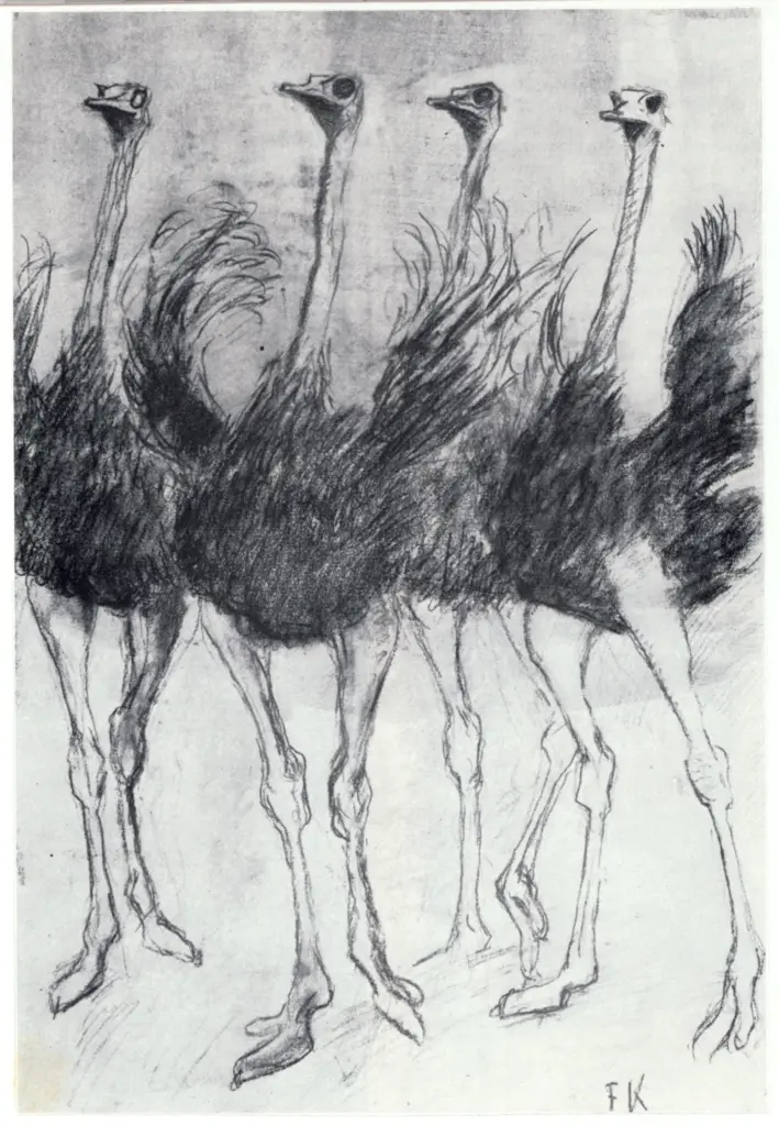 Krampe, Fritz , Ostrich Ballet