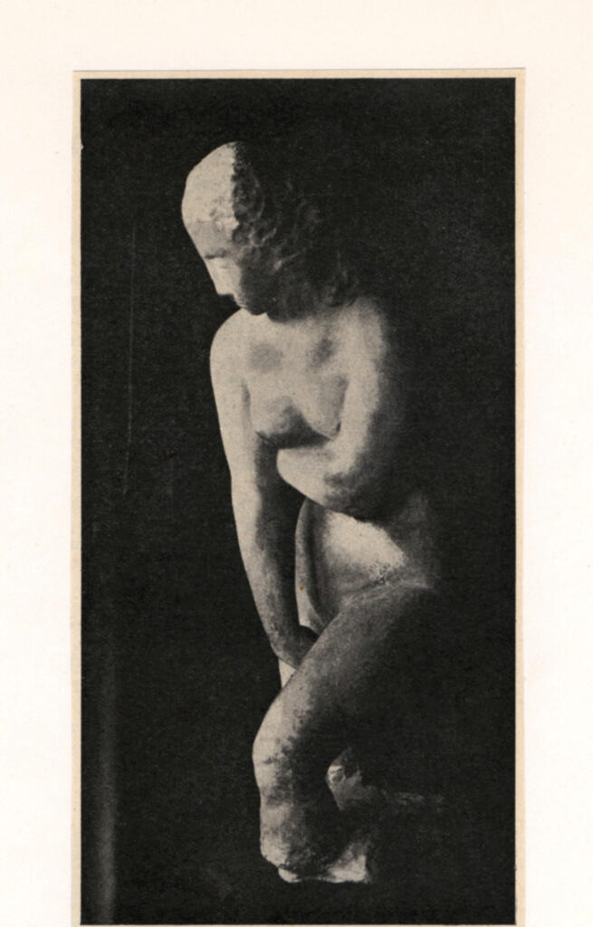 Anonimo , fronte