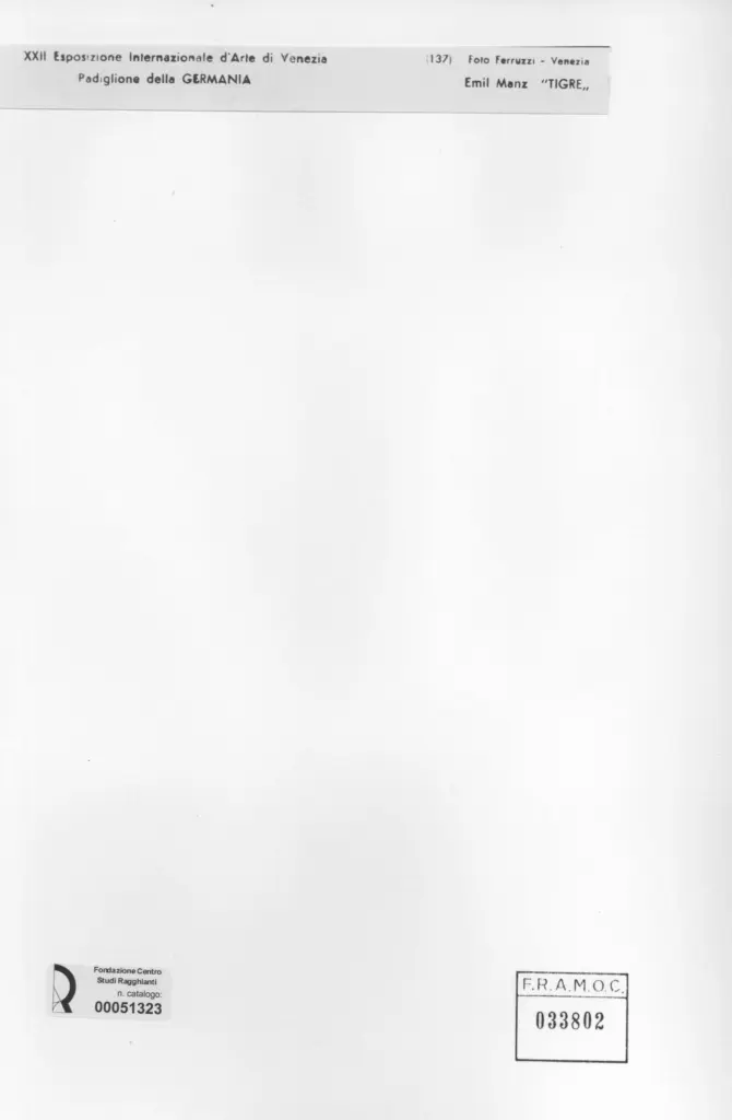 Fotografia Ferruzzi , Manz, Emil - sec. XX - Tigre , retro