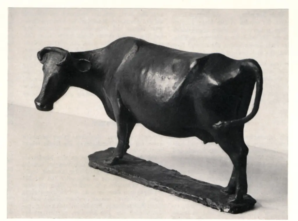 Anonimo, Anonimo , fronte