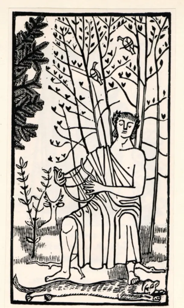 Anonimo, Anonimo , fronte