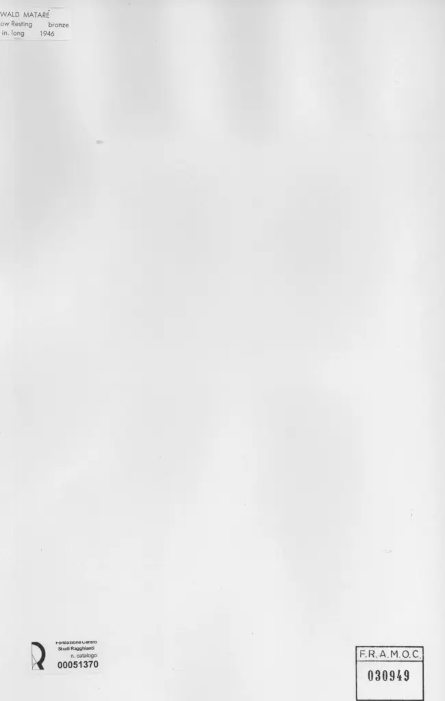 Anonimo, Anonimo , retro