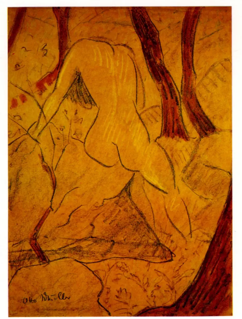 Anonimo, Anonimo , fronte