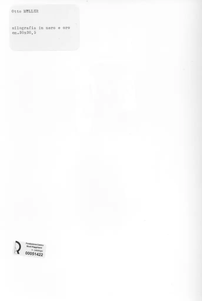 Anonimo, Anonimo , retro