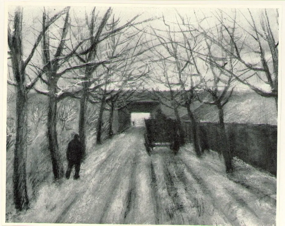 Anonimo, Anonimo , fronte