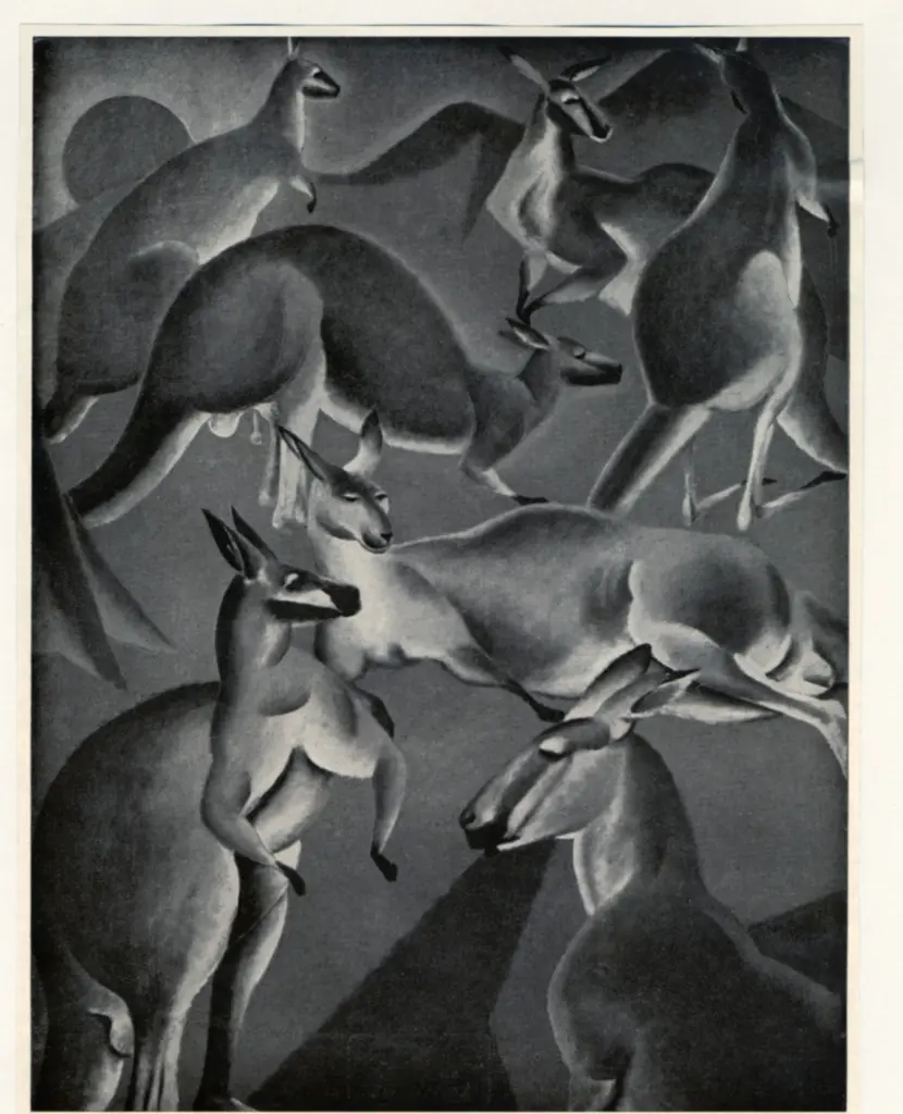 Anonimo , Nebel Kay, Heinrich - sec. XX - Kangurus , fronte