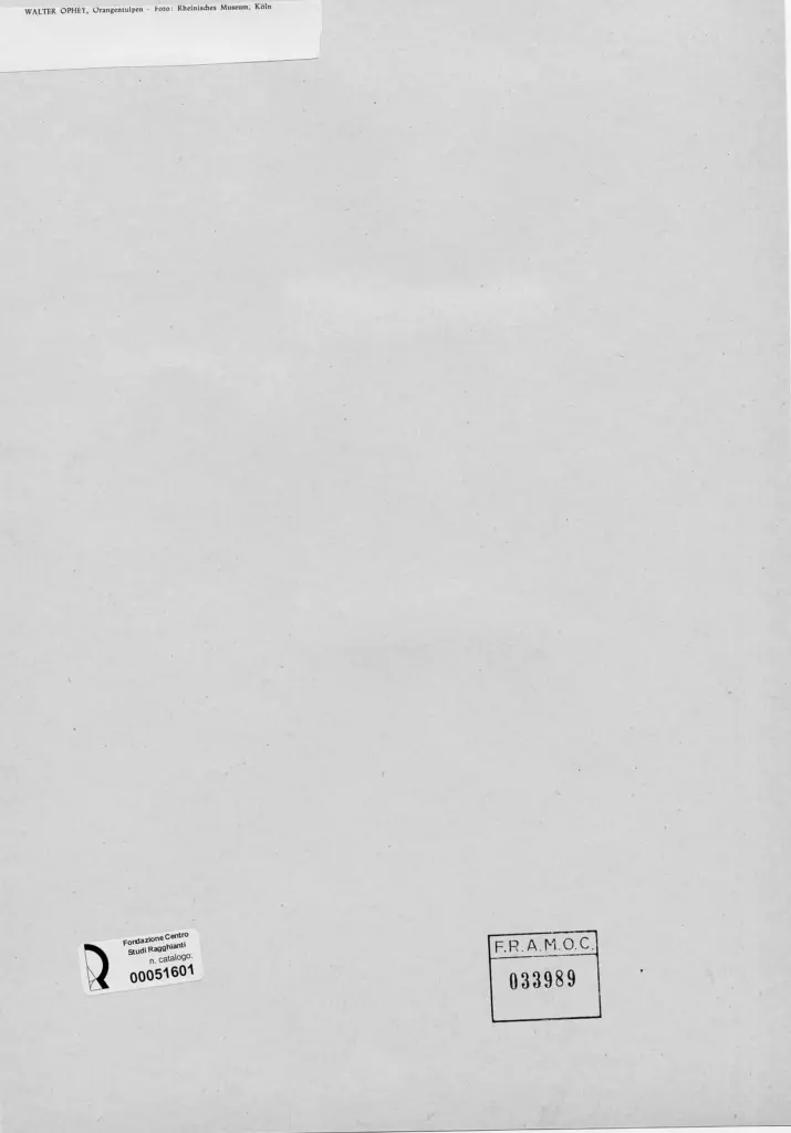 Rheinisches Museum K&ouml;ln , Ophey, Walter - sec. XIX/ XX - Natura morta con arance e tulipani , retro