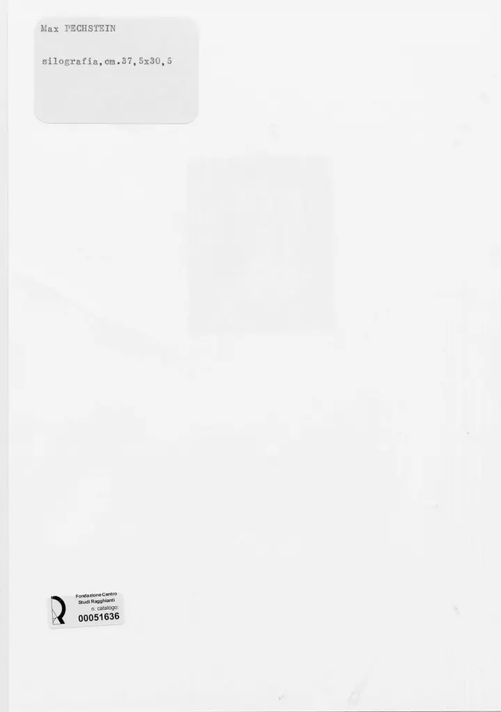 Anonimo, Anonimo , retro