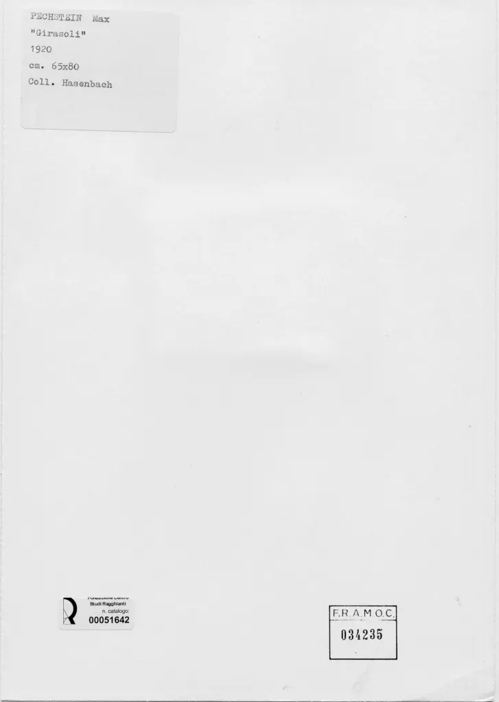 Anonimo, Anonimo , retro