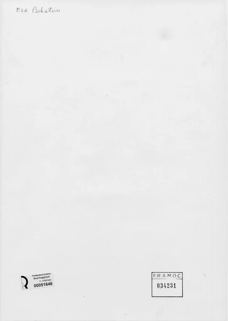 Anonimo, Anonimo , retro