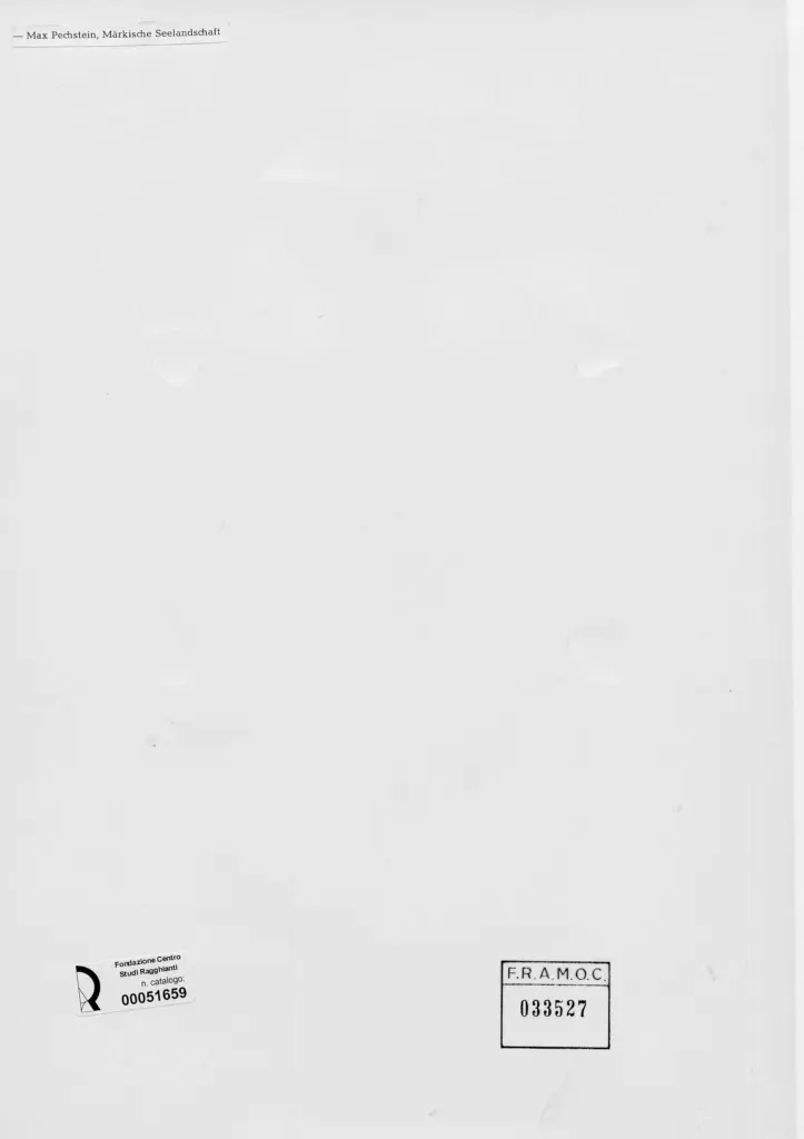 Anonimo, Anonimo , retro