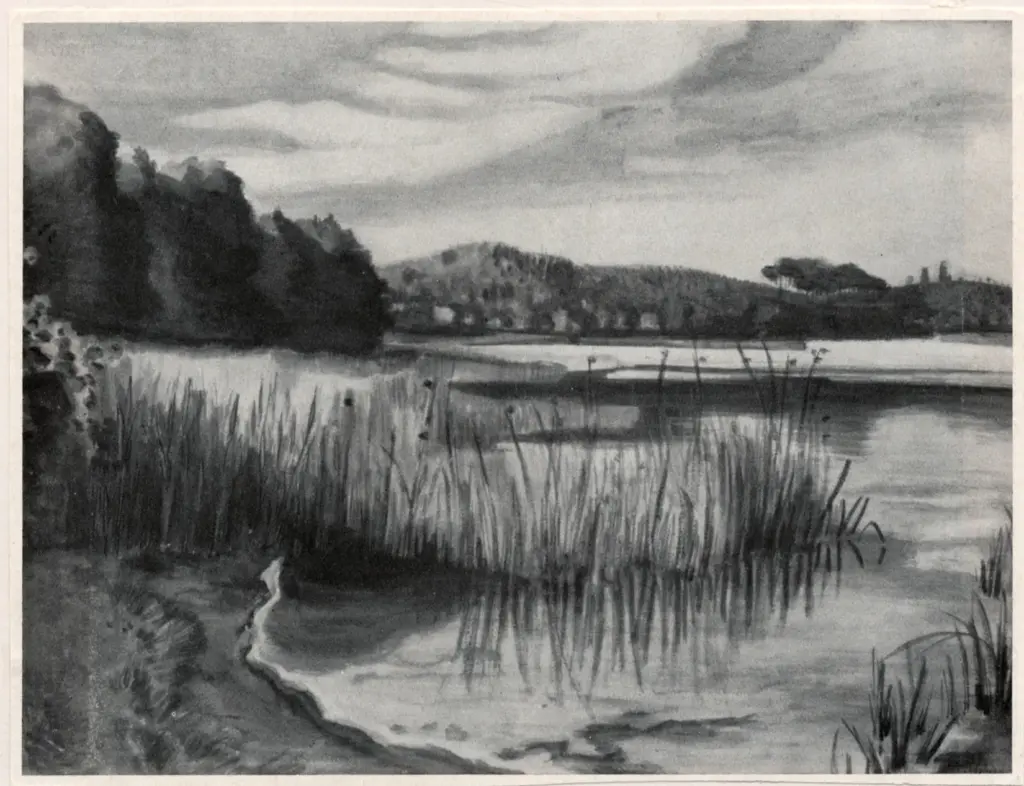 Anonimo, Anonimo , fronte