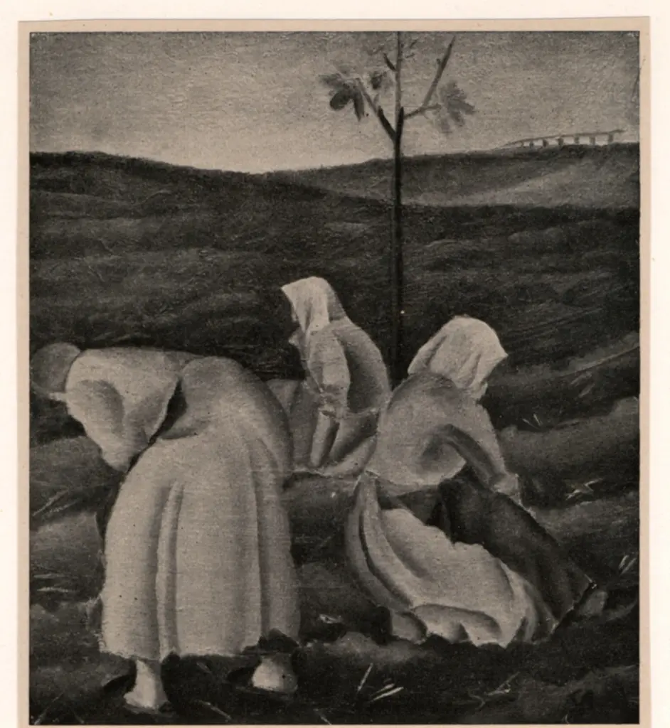 Anonimo , R&ouml;ssing, Karl - sec. XX - Feldarbeiterinner , fronte