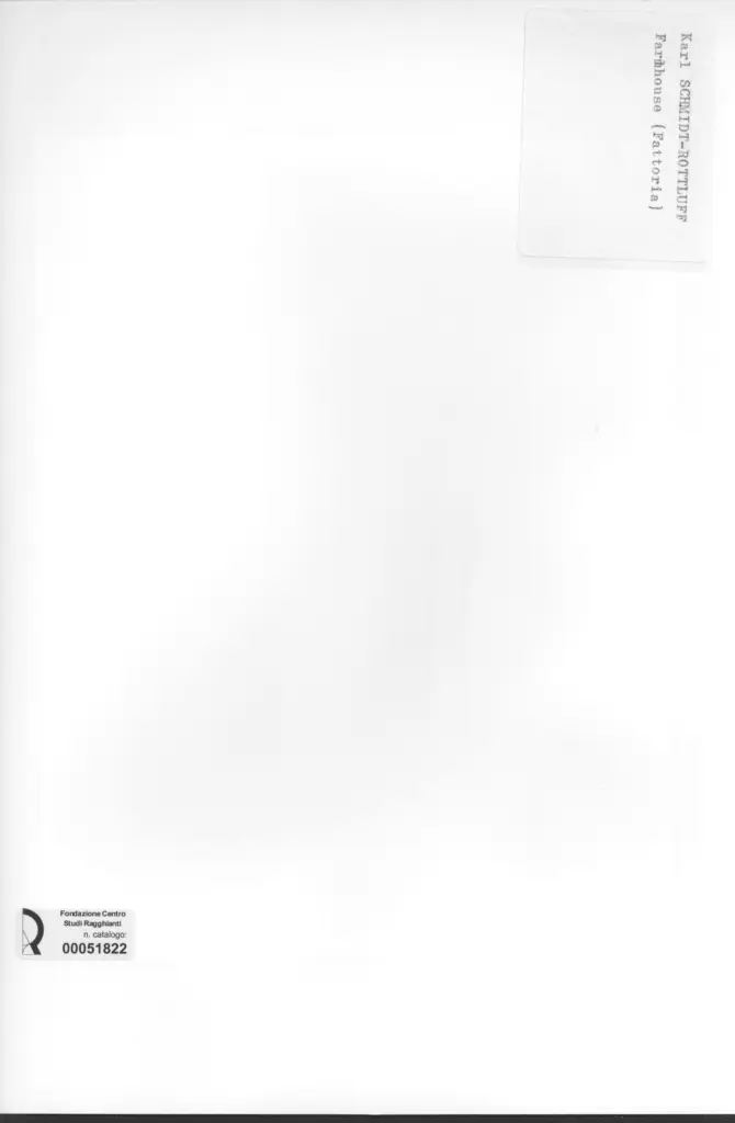 Anonimo, Anonimo , retro