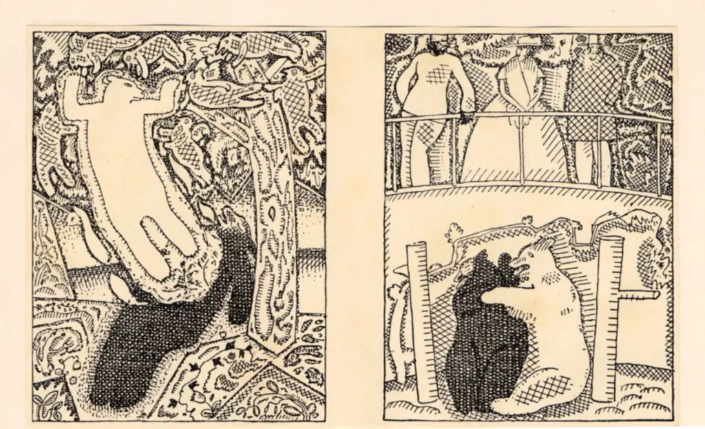 Anonimo, Anonimo , fronte