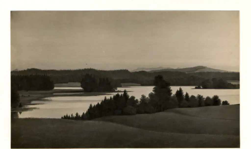 Anonimo, Anonimo , fronte